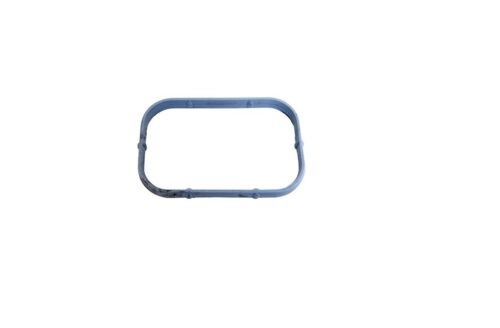 Inlaatspruitstuk pakking 3.6 V6 plenum-spruitstuk, per stuk - Image 1